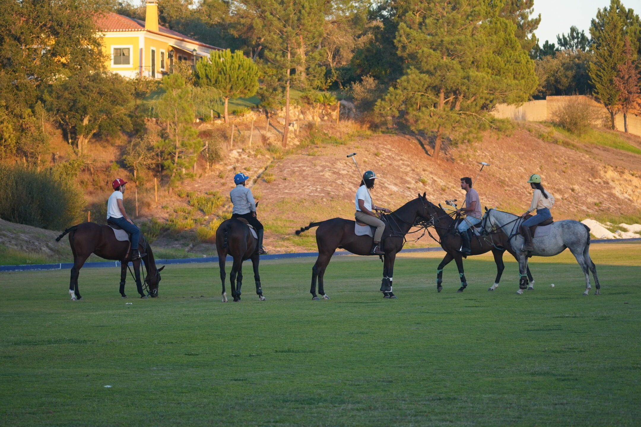 Polo - Portugal October 2023 (3)